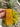 Gold 1” Polypropylene Webbing (by the yard)