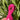 Hot Pink || 2mm cord elastic (5yd bundle)