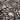 Boney Yard Cotton Woven