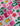 Preppy Christmas Patchwork Cotton Woven