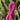 Fuchsia || 2mm cord elastic (5yd bundle)