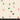 Quilt Cotton || 1-800-Notion  -  Buttons - Shell || Ruby Star Society