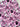 Violet Christmas Creeps Lux Bonded Poly/Nylon