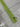 Zipper Super Sale - 15” Lime separating #5 - appx 100ct per bag