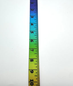Rainbow Ombre Ruler 1” Seatbelt Webbing