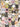 Hundreds of Cats Sandbox – Oops, All Cats by Sarah Watts for Ruby Star Society
