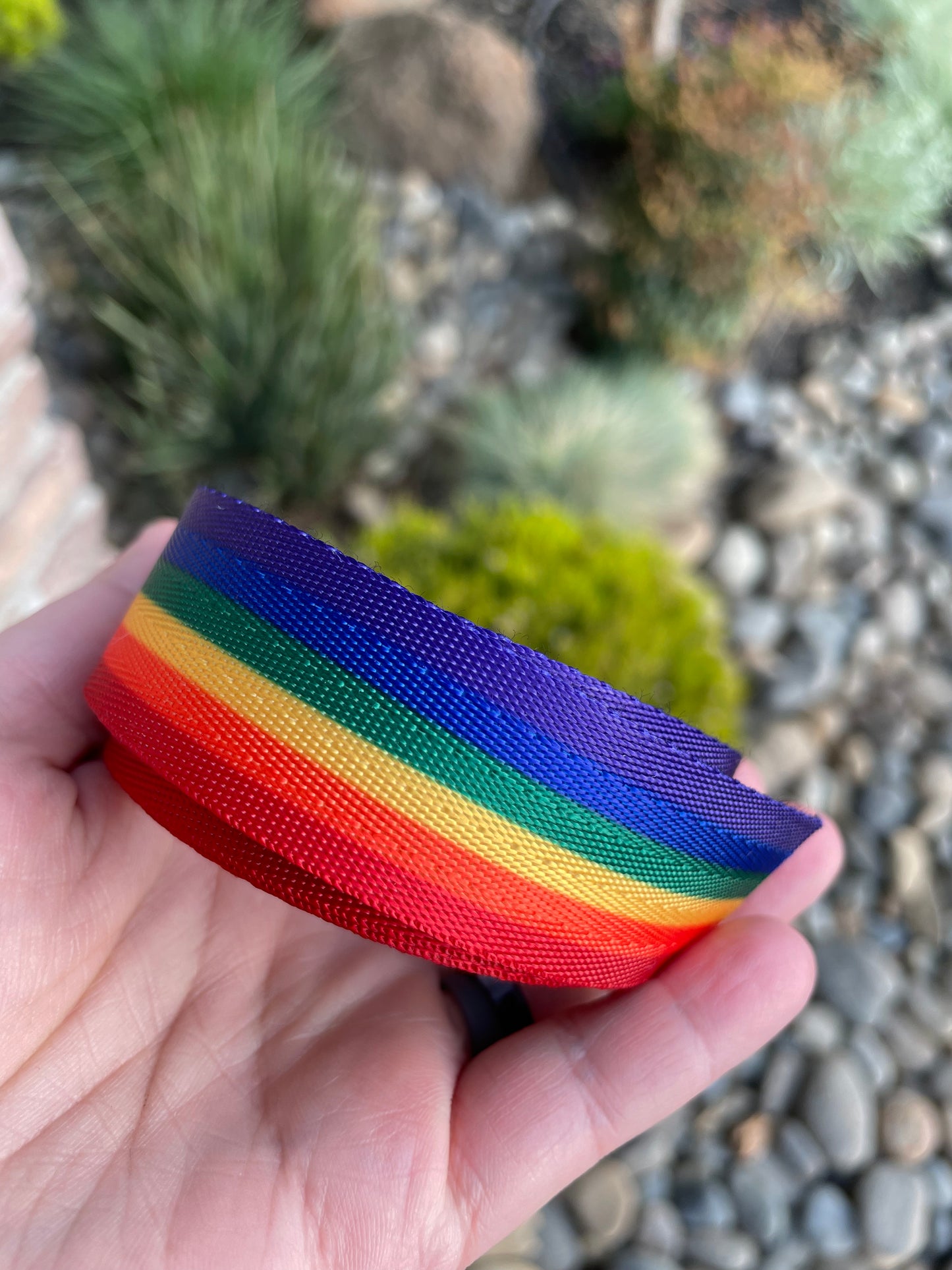 Rainbow Stripe 1” Seatbelt Webbing (by the yard)
