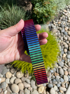 Horizontal rainbow stripe 1” Seatbelt Webbing