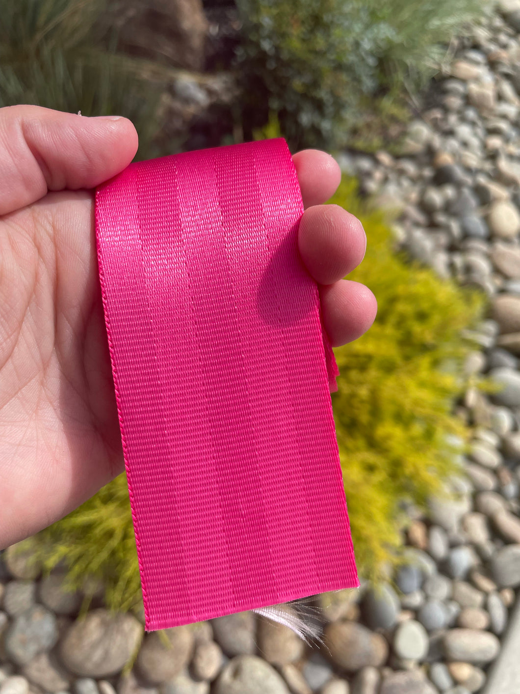 Pink 2” Seatbelt Webbing (by the yard)
